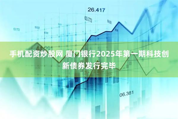 手机配资炒股网 厦门银行2025年第一期科技创新债券发行完毕